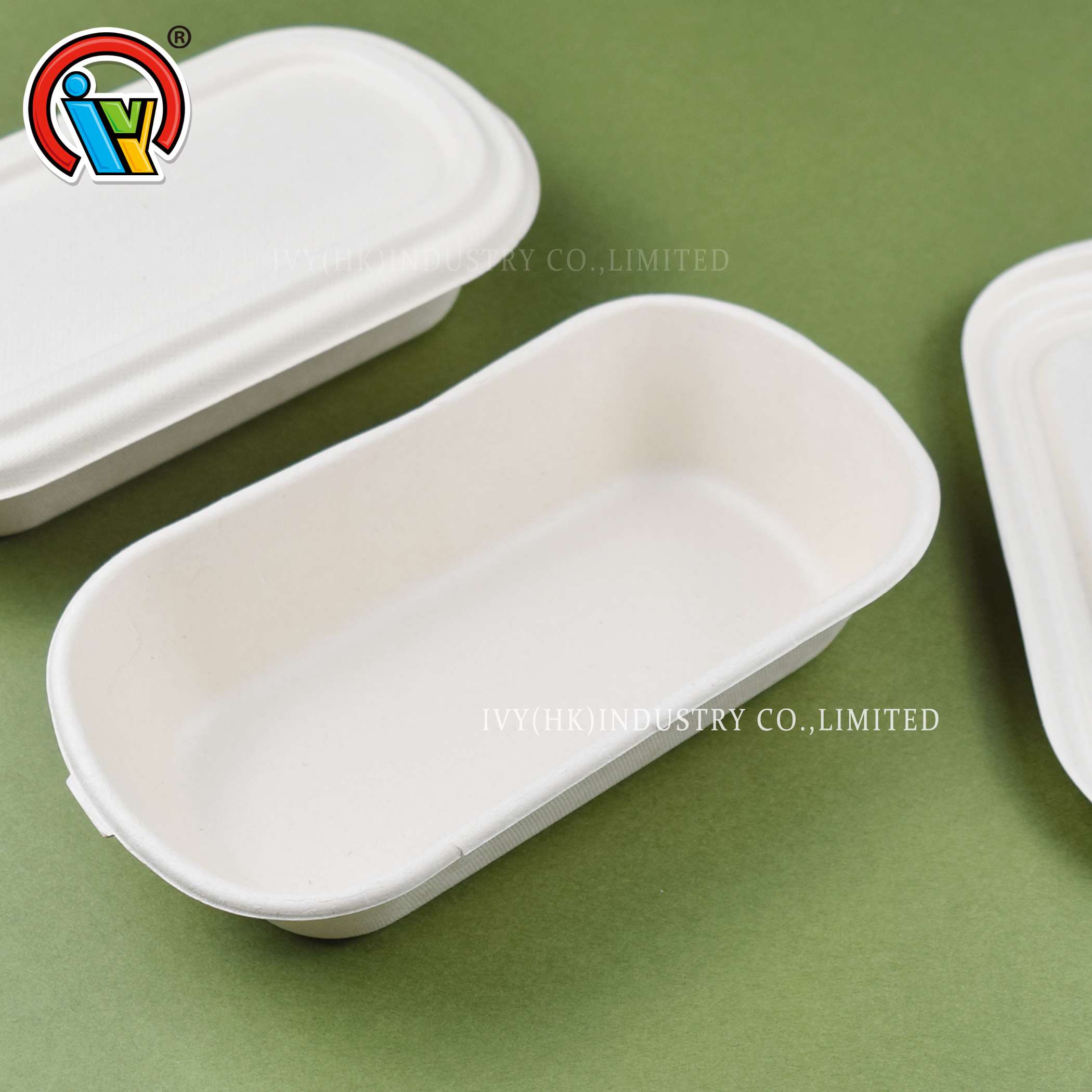 compostable lunch box