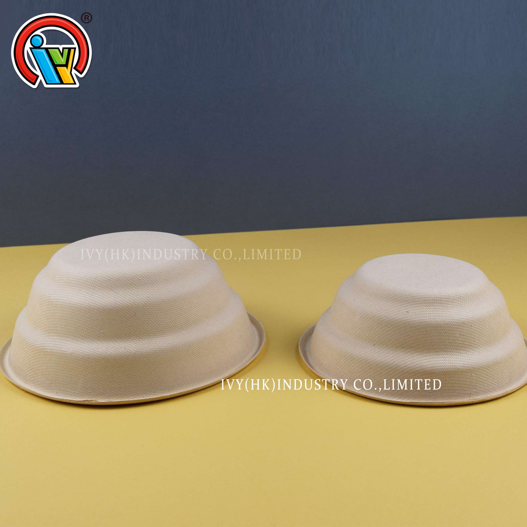 disposable biodegradable bowls