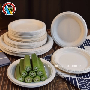 Biodegradable disposable plates