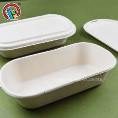 Eco friendly biodegradable lunch box wholesale
