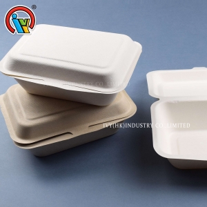 Biodegradable bagasse pulp lunch box
