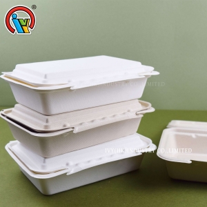 Biodegradable disposable lunch box