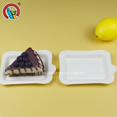 biodegradable disposable food container cake plates for party